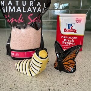 Salt & Pepper Shaker Set | Caterpillar & Butterfly 🐛